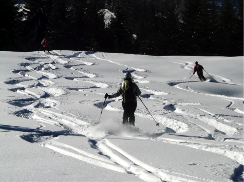 Ski à plusieurs (Crédits : libre de droits (Pixabay) Ski à plusieurs (Crédits : libre de droits (Pixabay)