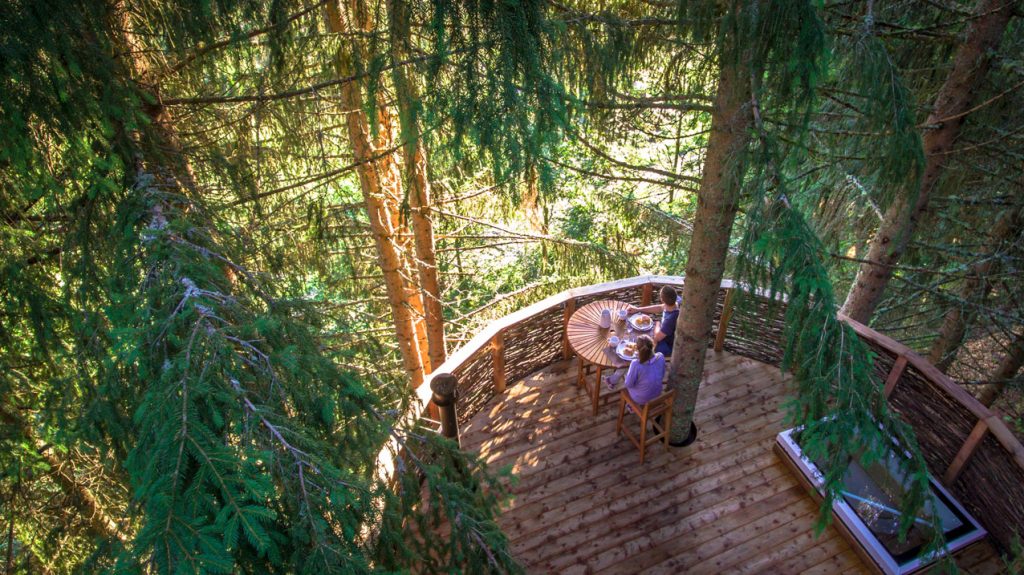 Cabane dans les arbres (montagne)