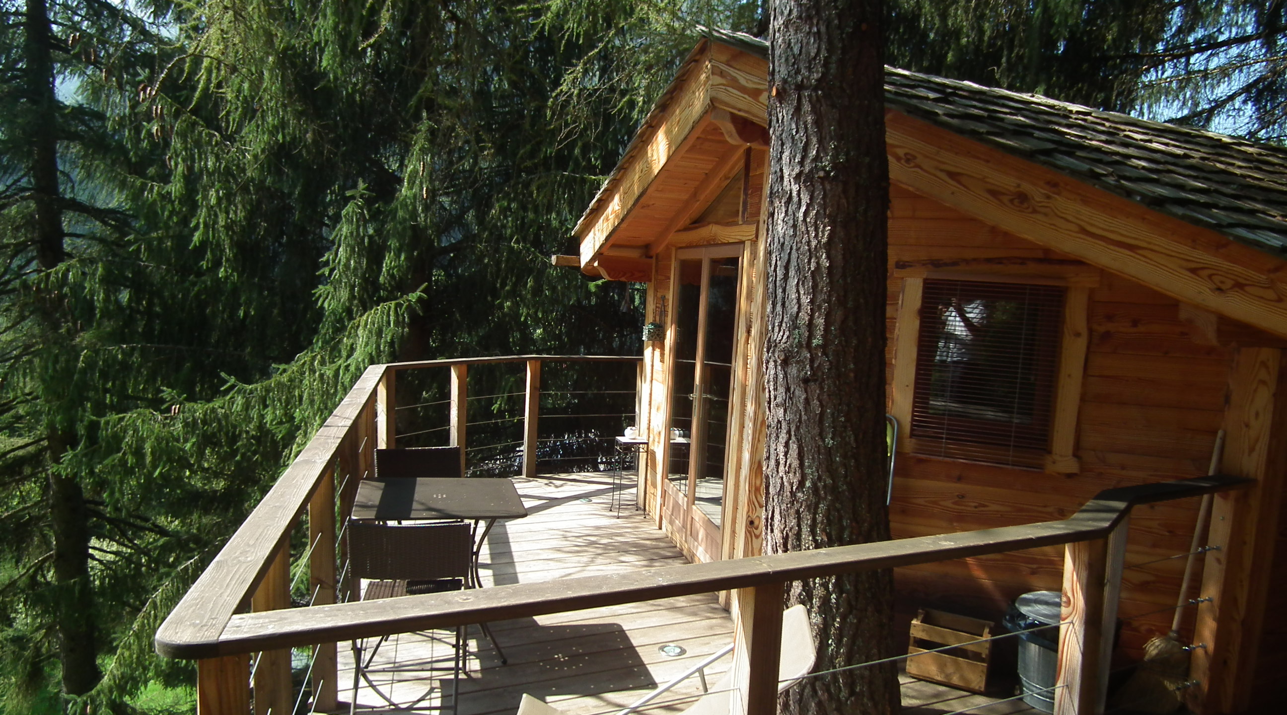 Cabane dans les arbres dans la vallées d'Aulps