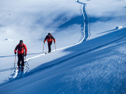 ski de randonée