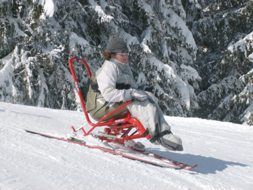 Skiart