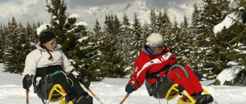 Ski assis